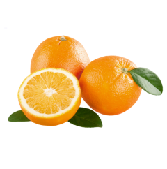 Naranja Salustiana